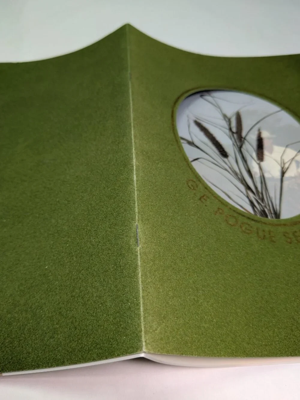 Flocked Cover Mat Vintage 1983 G.E. Pogue Seed Co Catalog Texas Grass Ephemera
